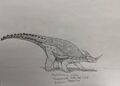 Thumbnail for version as of 14:14, 10 February 2025