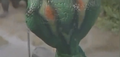 Thumbnail for version as of 23:01, 5 July 2016
