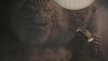 Thumbnail for version as of 14:42, 8 May 2021