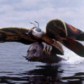 Thumbnail for version as of 02:21, 26 May 2019