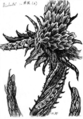 Thumbnail for version as of 23:22, 5 July 2016