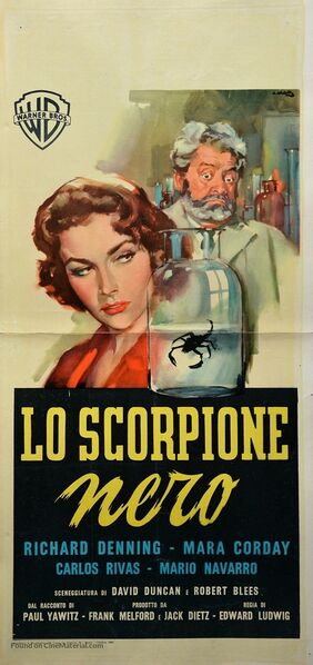 File:Lo scorpione nero poster.jpg