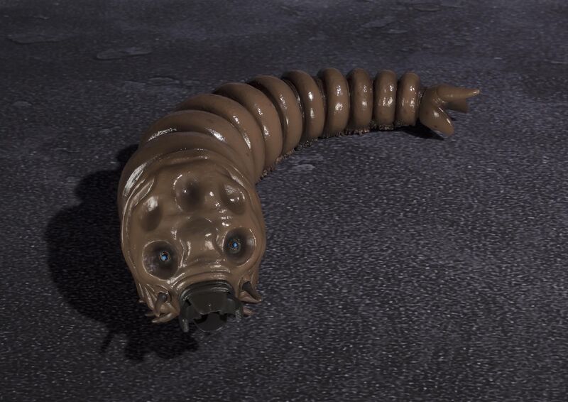 File:Mmlarva-hires-9.jpg