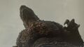 Thumbnail for version as of 12:00, 27 October 2023
