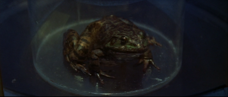 File:Liquid Toad - 4.png