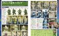 Thumbnail for version as of 16:29, 19 September 2022