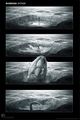 Thumbnail for version as of 16:50, 4 June 2021