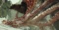 Thumbnail for version as of 12:51, 22 August 2017