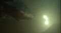 Thumbnail for version as of 23:44, 17 January 2025