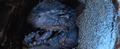 Thumbnail for version as of 19:01, 23 July 2016