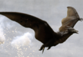 Thumbnail for version as of 02:32, 17 October 2024