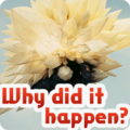 Thumbnail for version as of 13:52, 18 October 2022