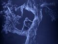 Thumbnail for version as of 01:30, 19 April 2025