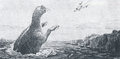 Thumbnail for version as of 20:38, 5 May 2019