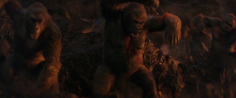 File:GxK - Apes 2.png