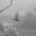 Thumbnail for version as of 21:12, 24 March 2019