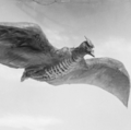 Thumbnail for version as of 01:23, 21 May 2019