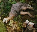Thumbnail for version as of 23:56, 5 June 2019