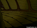 Thumbnail for version as of 18:56, 23 July 2016