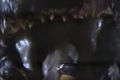 Thumbnail for version as of 14:58, 12 August 2017