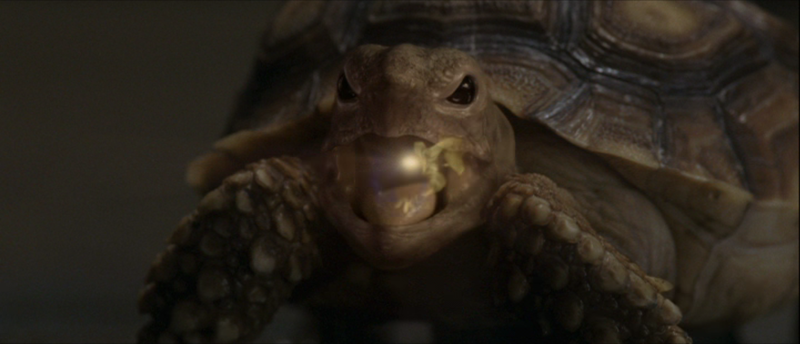 File:Baby Toto charging fire.png