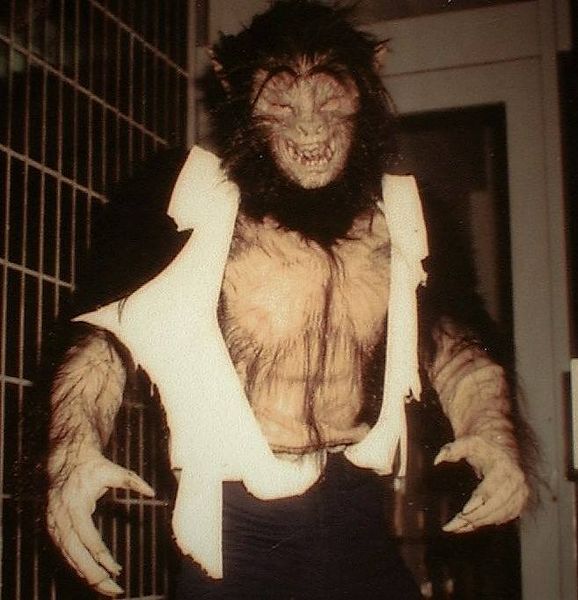 File:Wolfman Form 1 Torso Upward.jpg