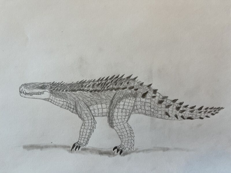 File:Bear Croc.jpeg