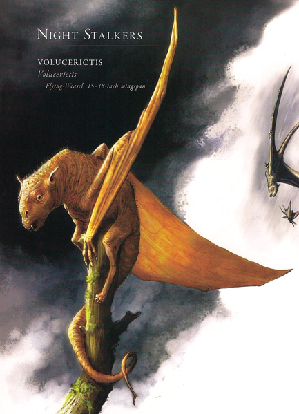 File:Volucerictis.png
