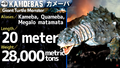 Thumbnail for version as of 02:11, 26 January 2021