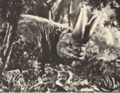 Thumbnail for version as of 19:04, 21 March 2021