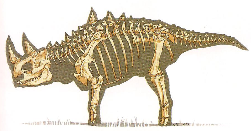 File:Diablosaurus skeleton.png