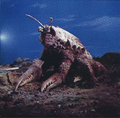 Thumbnail for version as of 16:25, 1 July 2018
