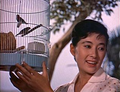 Thumbnail for version as of 01:43, 30 July 2016