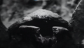 Thumbnail for version as of 14:56, 7 May 2021