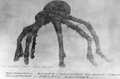 Thumbnail for version as of 00:13, 15 June 2022