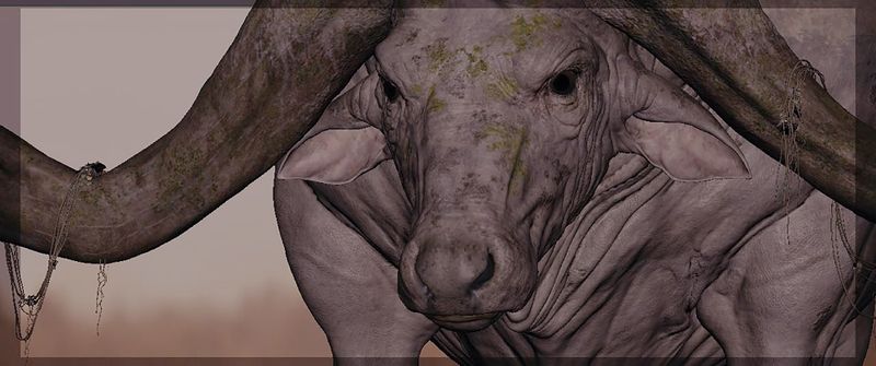 File:Skerbuffalo prod1.jpg