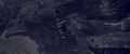 Thumbnail for version as of 22:57, 27 May 2022