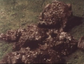 Thumbnail for version as of 17:59, 23 July 2016
