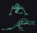 Thumbnail for version as of 22:32, 25 October 2024