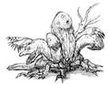 Thumbnail for version as of 22:25, 5 July 2016