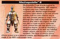 Thumbnail for version as of 02:34, 1 September 2017
