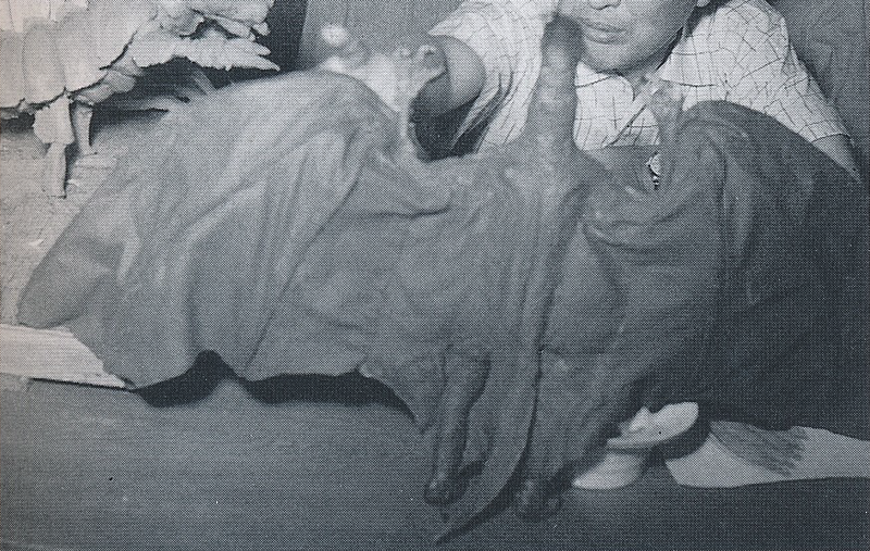 File:Rodan model 2.png