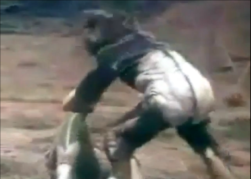 File:Zarizon beating on Greenman.png